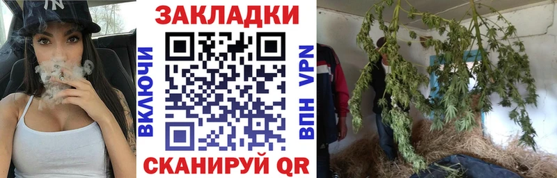 Как найти закладки Оленегорск Кокаин  Гашиш  Канабис 