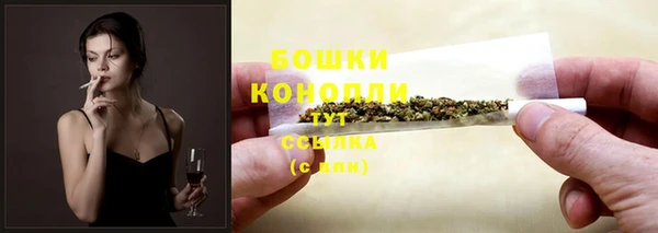 тгк Ладушкин